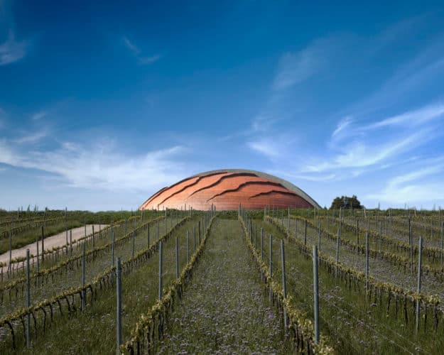 gallery_carapace_06a